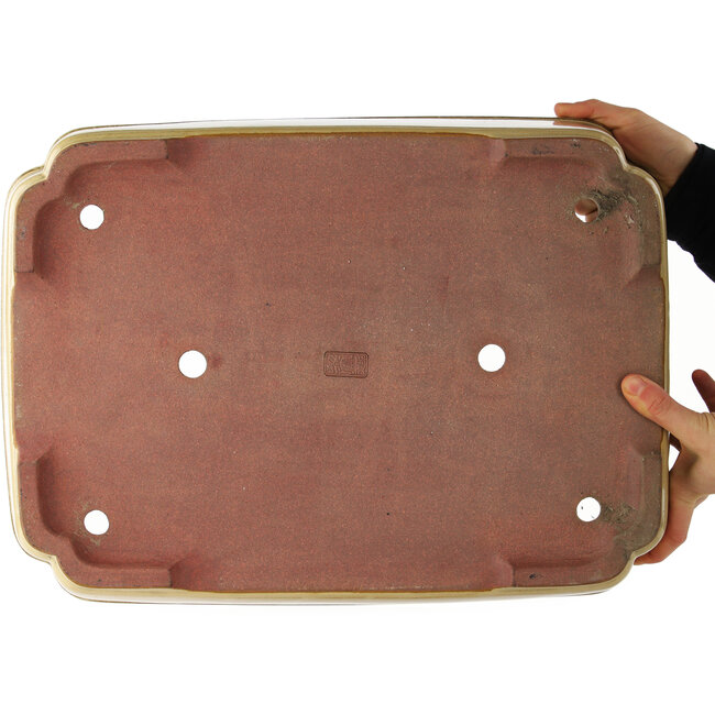 Maceta rectangular beige para bonsái de Reiho - 470 x 350 x 110 mm