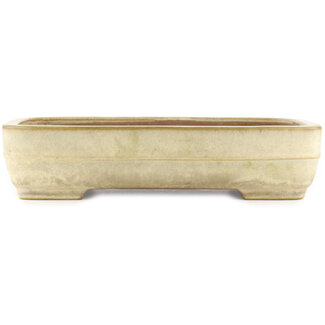 Yamafusa - Takehiko Koie 410 mm rectangular off-white bonsai pot by Yamafusa, Tokoname, Japan