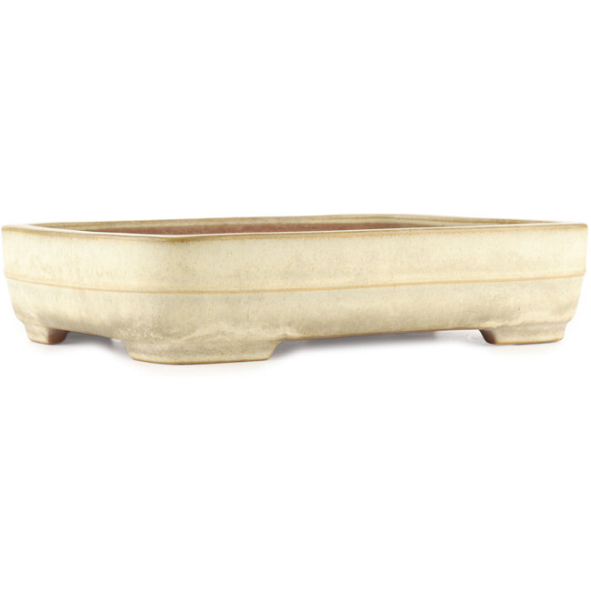 Pot à bonsaï rectangulaire blanc cassé de Yamafusa - 410 x 310 x 90 mm