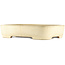Maceta rectangular beige para bonsái de Yamafusa - 470 x 345 x 100 mm