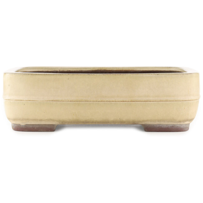 Rectangular beige  bonsai pot by Yamaaki - 405 x 310 x 115 mm