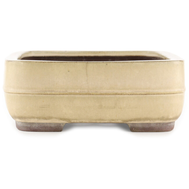 Maceta rectangular beige para bonsái de Yamaaki - 405 x 310 x 115 mm