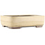 Maceta rectangular beige para bonsái de Yamaaki - 405 x 310 x 115 mm