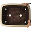 Pot à bonsaï rectangulaire beige de Yamaaki - 405 x 310 x 115 mm