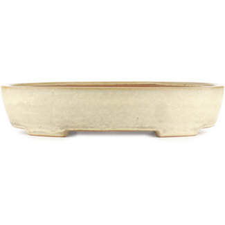 Yamafusa - Takehiko Koie 405 mm oval off-white bonsai pot by Yamafusa, Tokoname, Japan