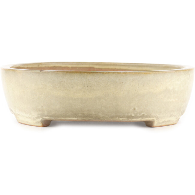 Vaso bonsai ovale bianco sporco di Yamafusa - 405 x 310 x 80 mm