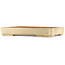 Maceta rectangular beige para bonsái de Reiho - 465 x 330 x 60 mm