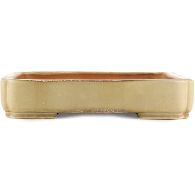 Maceta rectangular beige para bonsái de Reiho - 465 x 330 x 60 mm
