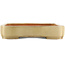 Maceta rectangular beige para bonsái de Reiho - 465 x 330 x 60 mm