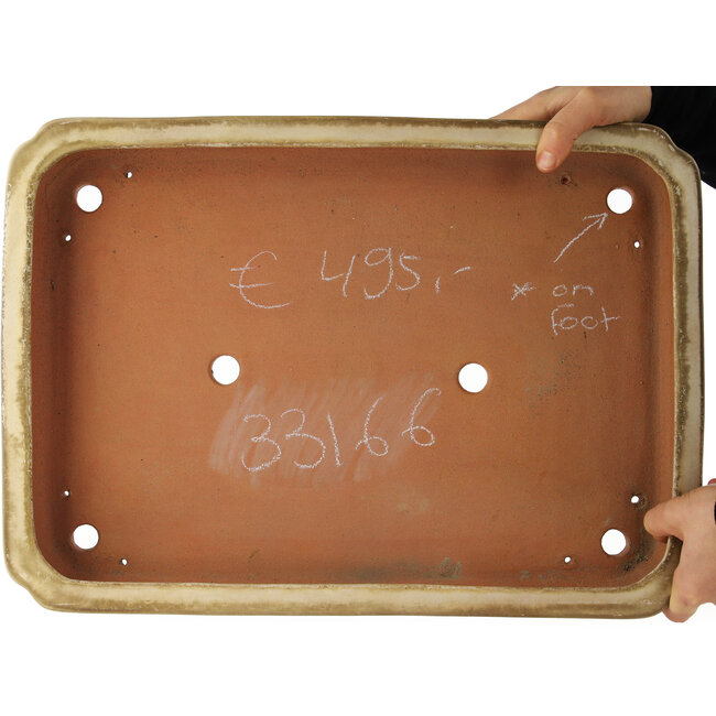 Pot à bonsaï rectangulaire beige de Reiho - 465 x 330 x 60 mm