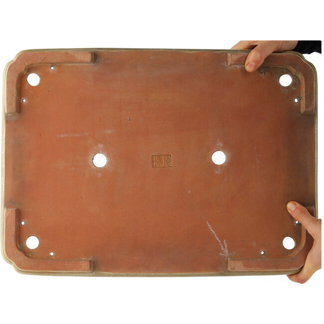 Vaso bonsai rettangolare beige di Reiho - 465 x 330 x 60 mm