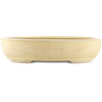 Shuuhou (Hidemi Kataoka) 500 mm oval beige  bonsai pot by Shuhou, Tokoname, Japan