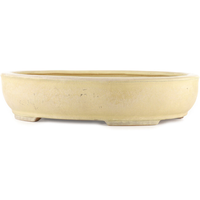 Maceta ovalada beige para bonsái de Shuhou - 500 x 410 x 110 mm