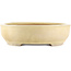 Oval beige  bonsai pot by Shuhou - 500 x 410 x 110 mm