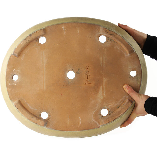 Oval beige  bonsai pot by Shuhou - 500 x 410 x 110 mm