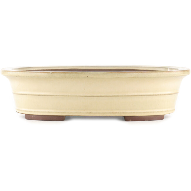 Pot à bonsaï ovale blanc de Yamaaki - 410 x 320 x 100 mm