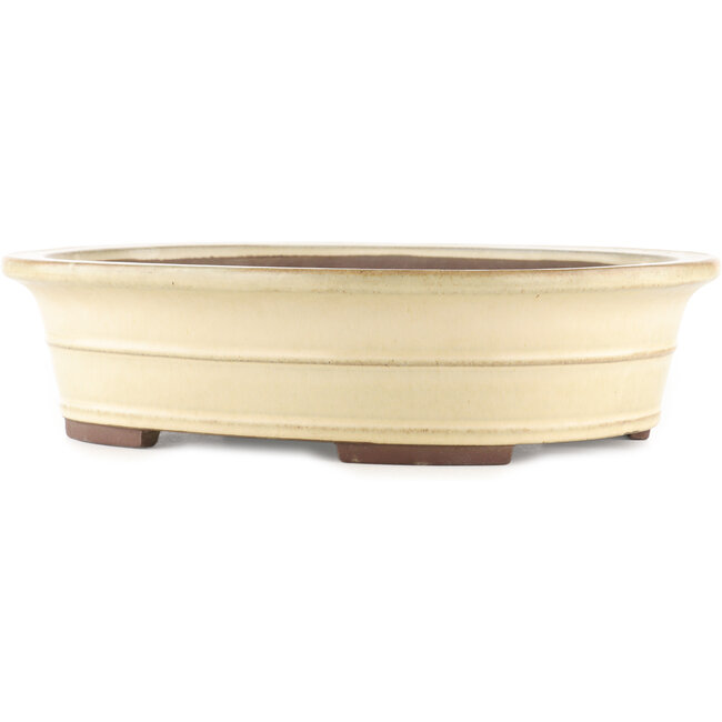 Vaso bonsai ovale bianco di Yamaaki - 410 x 320 x 100 mm