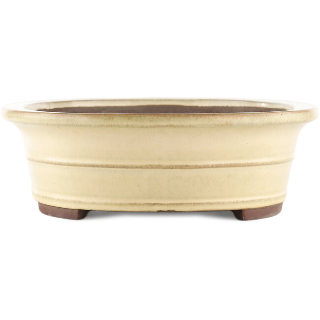 Pot à bonsaï ovale blanc de Yamaaki - 410 x 320 x 100 mm