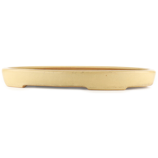 Oval beige  bonsai pot by Reiho - 530 x 370 x 55 mm