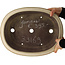 Pot à bonsaï ovale blanc de Yamaaki - 410 x 320 x 100 mm
