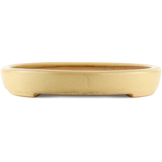 Ovaler beiger Bonsaitopf von Reiho - 530 x 370 x 55 mm