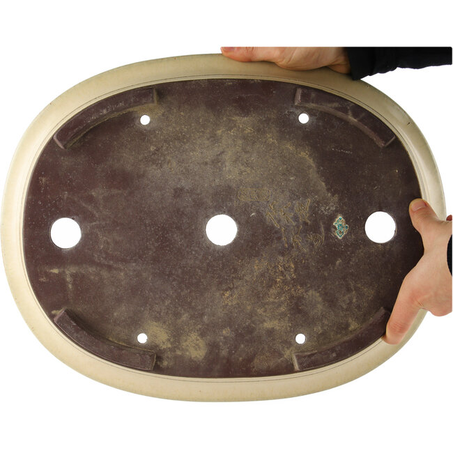 Pot à bonsaï ovale blanc de Yamaaki - 410 x 320 x 100 mm