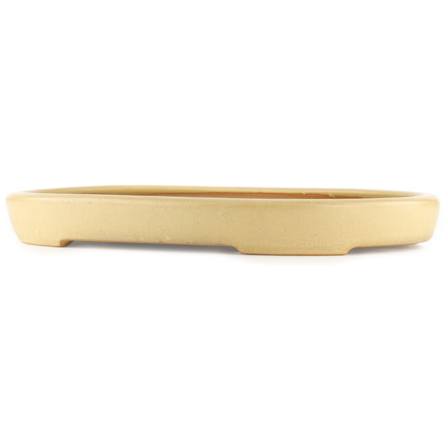 Ovale beige bonsai pot van Reiho - 530 x 370 x 55 mm