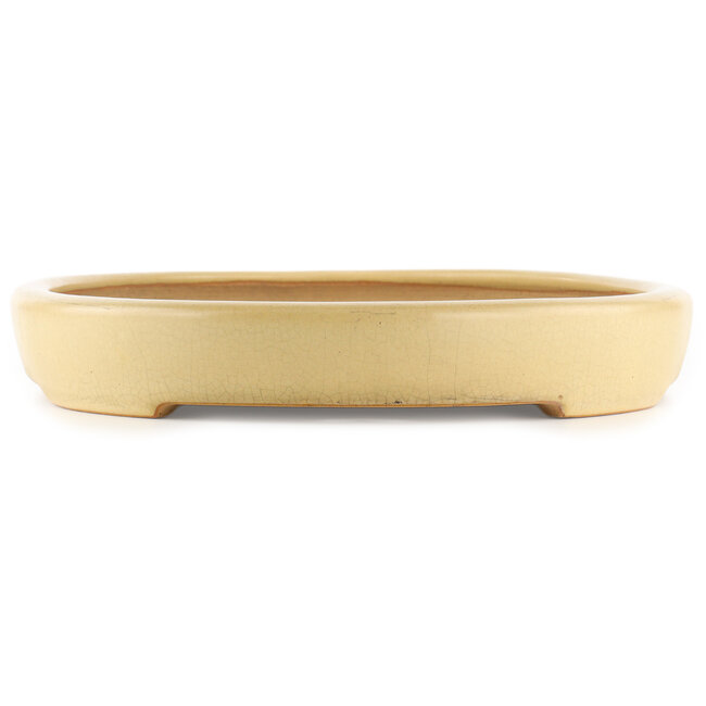 Ovaler beiger Bonsaitopf von Reiho - 530 x 370 x 55 mm