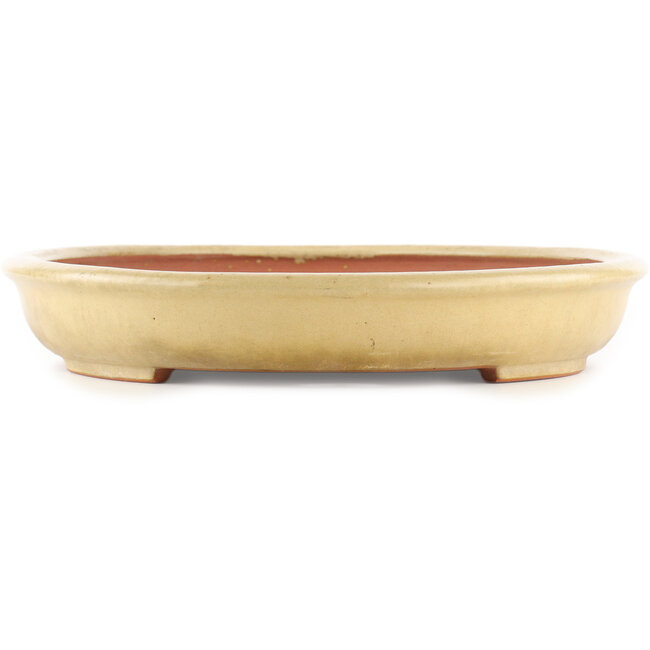 Vaso bonsai ovale beige di Reiho - 460 x 330 x 50 mm