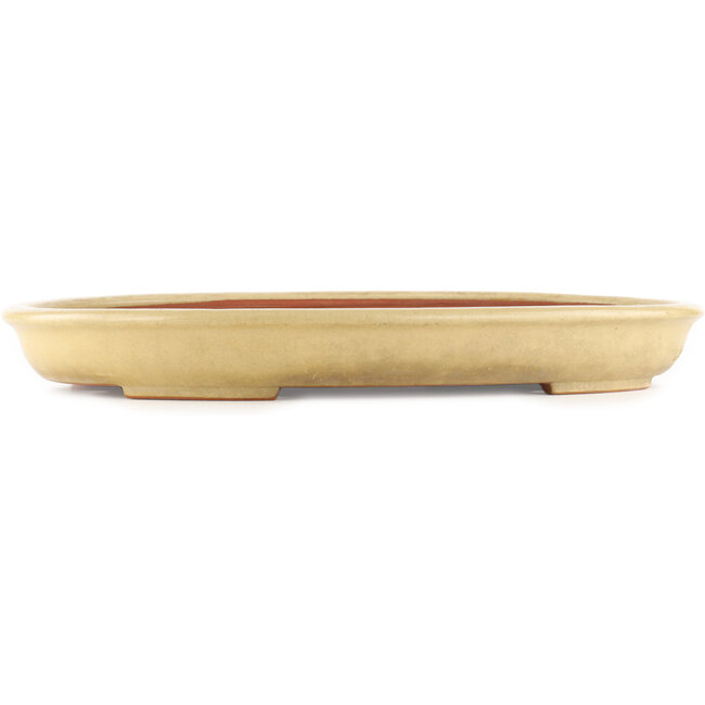 Pot à bonsaï ovale beige de Reiho - 460 x 330 x 50 mm