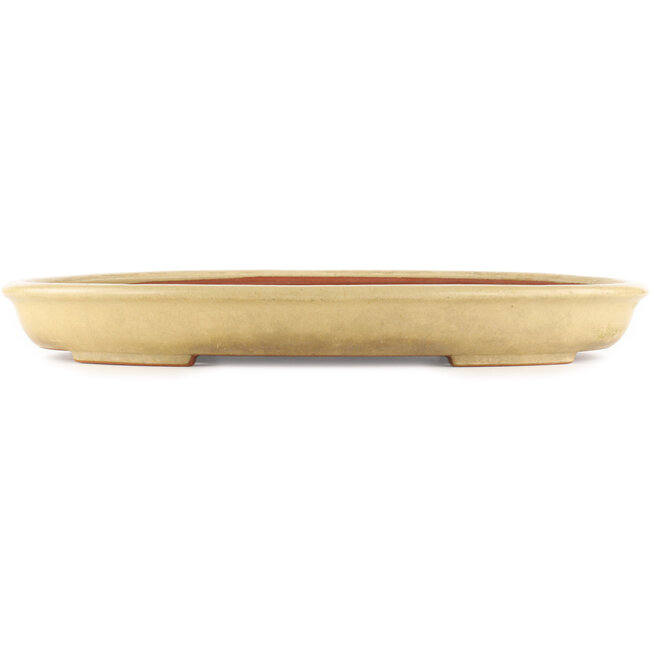 Pot à bonsaï ovale beige de Reiho - 460 x 330 x 50 mm