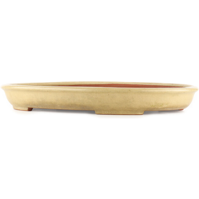 Vaso bonsai ovale beige di Reiho - 460 x 330 x 50 mm