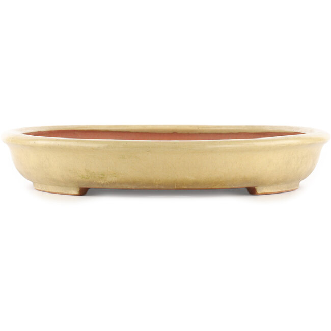 Vaso bonsai ovale beige di Reiho - 460 x 330 x 50 mm
