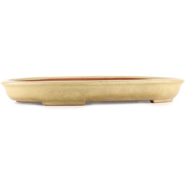 Pot à bonsaï ovale beige de Reiho - 460 x 330 x 50 mm