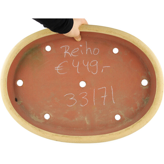 Maceta ovalada beige para bonsái de Reiho - 460 x 330 x 50 mm