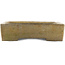 Maceta rectangular beige para bonsái de Tokoname - 550 x 390 x 80 mm