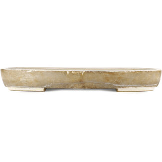 Satomi Mazan, Mazan Terahata 540 mm oval white bonsai pot by Mazan, Tokoname, Japan