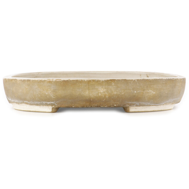 Vaso bonsai ovale bianco di Mazan - 540 x 420 x 70 mm