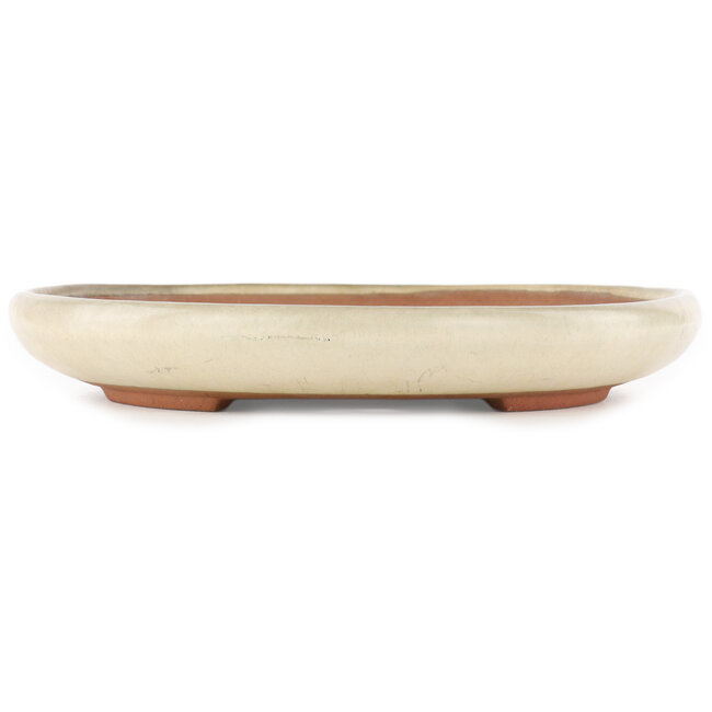 Vaso bonsai ovale bianco di Yamafusa - 405 x 305 x 40 mm