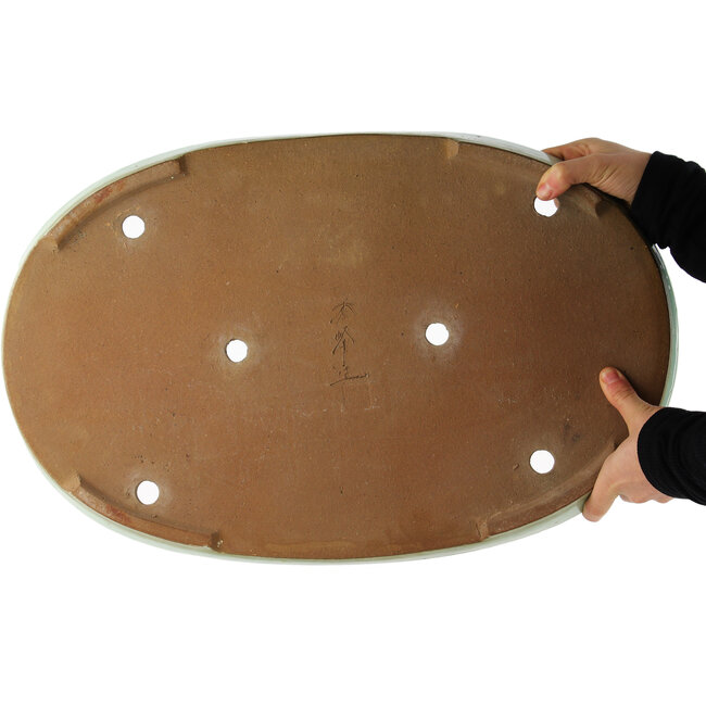 Pot à bonsaï ovale turquoise de Shuhou - 550 x 350 x 40 mm