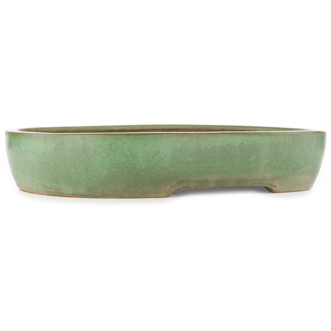 Vaso bonsai ovale verde di Yamafusa - 470 x 465 x 80 mm