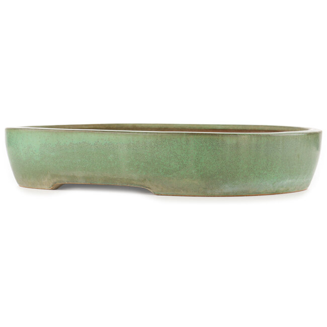 Ovale groene bonsai pot van Yamafusa - 470 x 465 x 80 mm