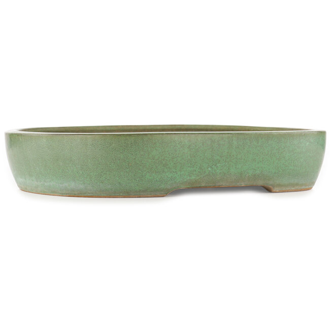 Ovale groene bonsai pot van Yamafusa - 470 x 465 x 80 mm