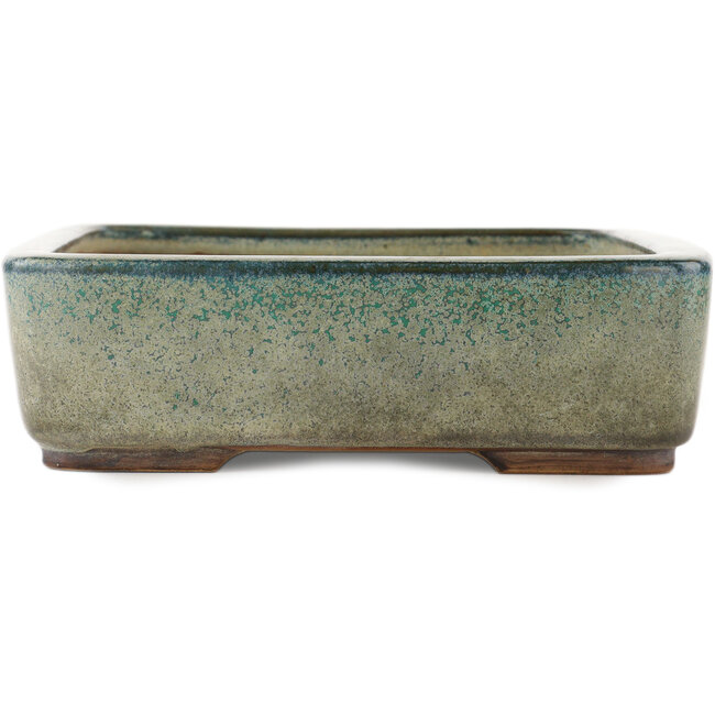 Vaso bonsai rettangolare turchese di Ikkou - 370 x 260 x 75 mm