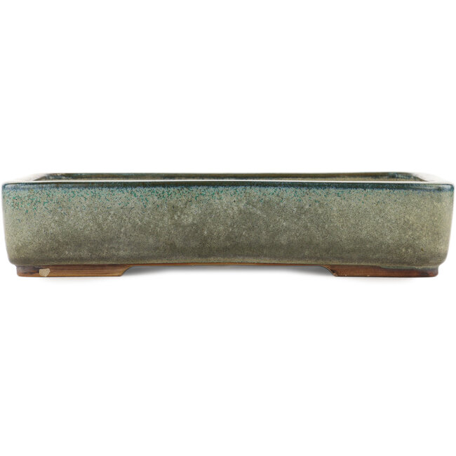 Pot à bonsaï rectangulaire turquoise par Ikkou - 370 x 260 x 75 mm