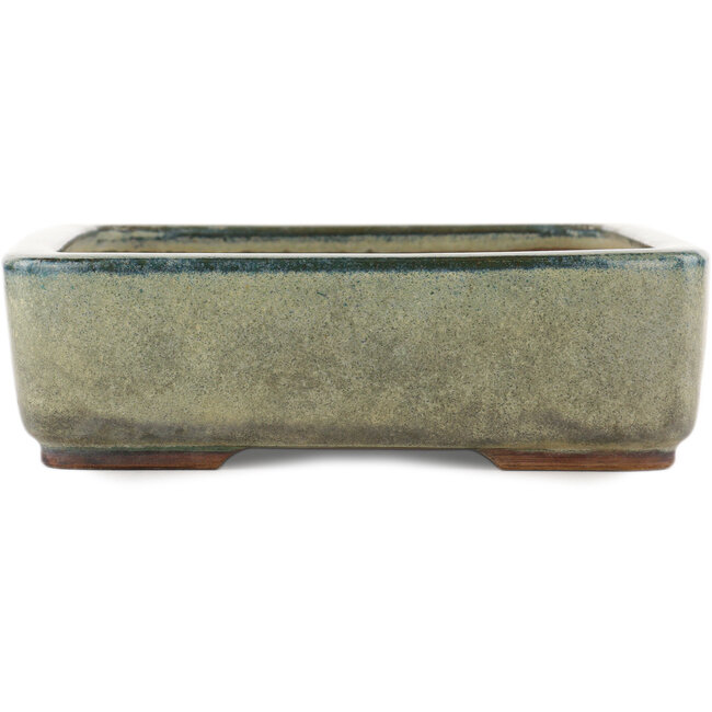 Rectangular turquoise bonsai pot by Ikkou - 370 x 260 x 75 mm