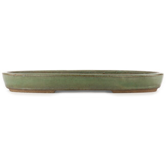 Taizan 460 mm oval green bonsai pot by Taizan, Tokoname, Japan