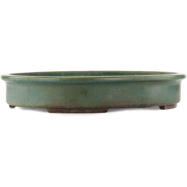 Oval green bonsai pot by Yamafusa - 430 x 350 x 70 mm