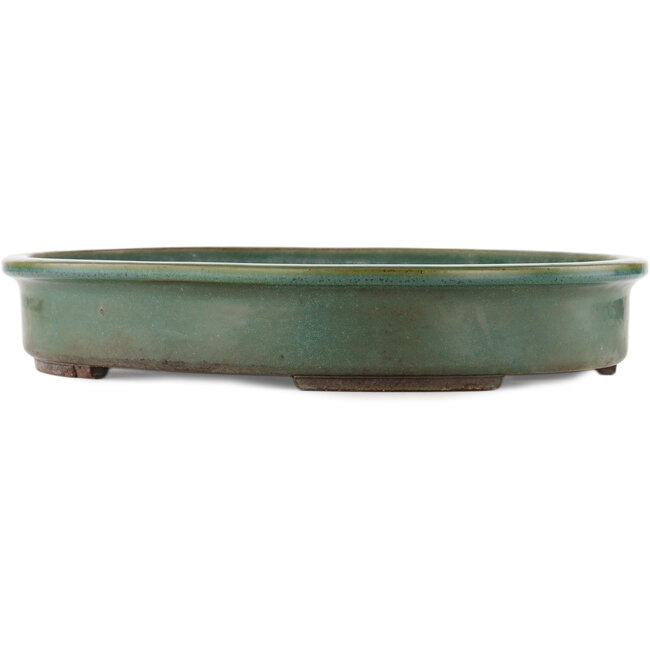 Ovale groene bonsai pot van Yamafusa - 430 x 350 x 70 mm