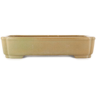 Hattori Tomoyuki 375 mm rectangular green bonsai pot by Hattori, Tokoname, Japan